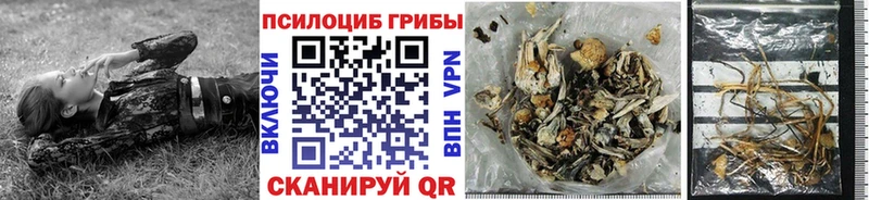 закладки  Шацк  Галлюциногенные грибы MAGIC MUSHROOMS 
